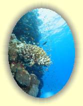 IMG_2007_05_27 15_27_38 * 1673 x 2231 * (542KB)